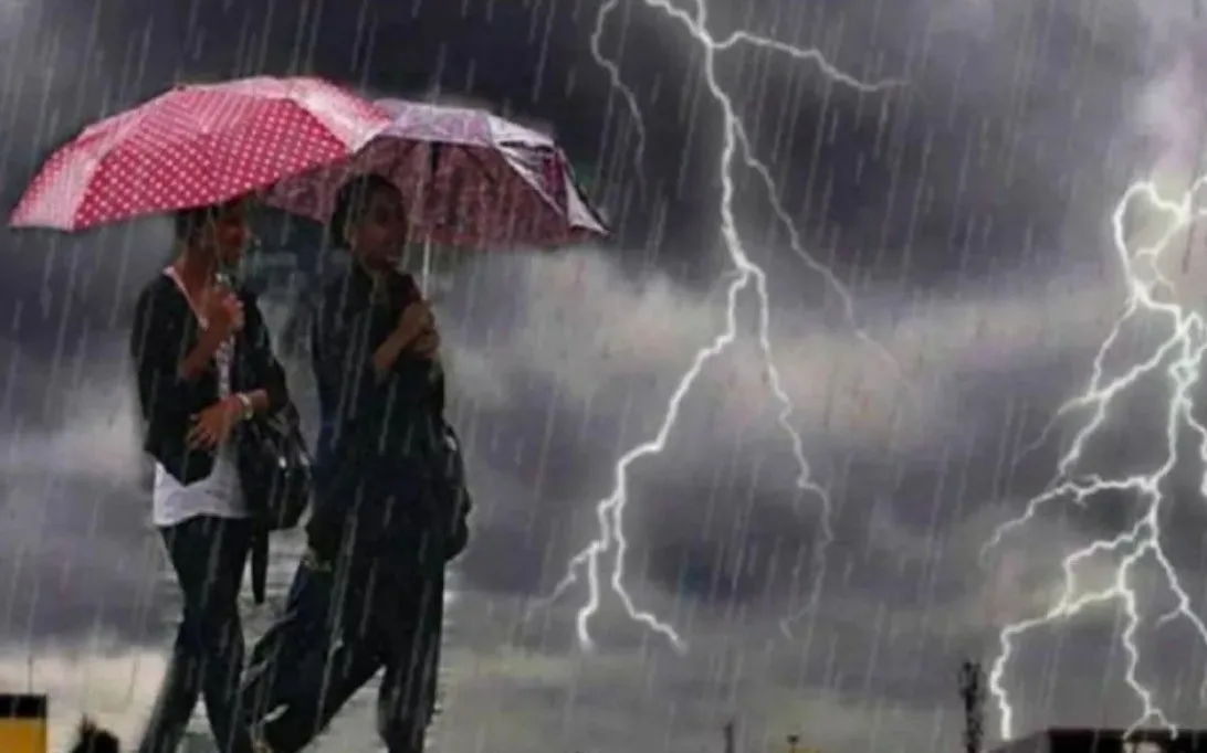Feb 2025/Rain.jpg